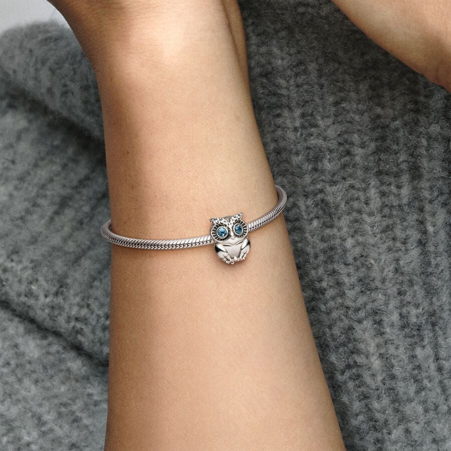 Sparkling Owl Charm