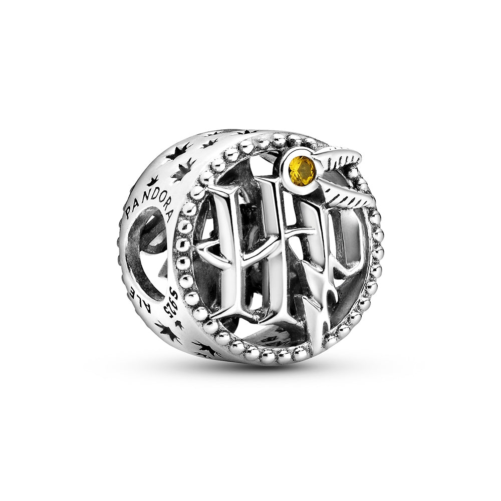 Harry Potter HP Openwork Sterling Silver Charm